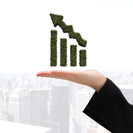Investment Growth.jpg